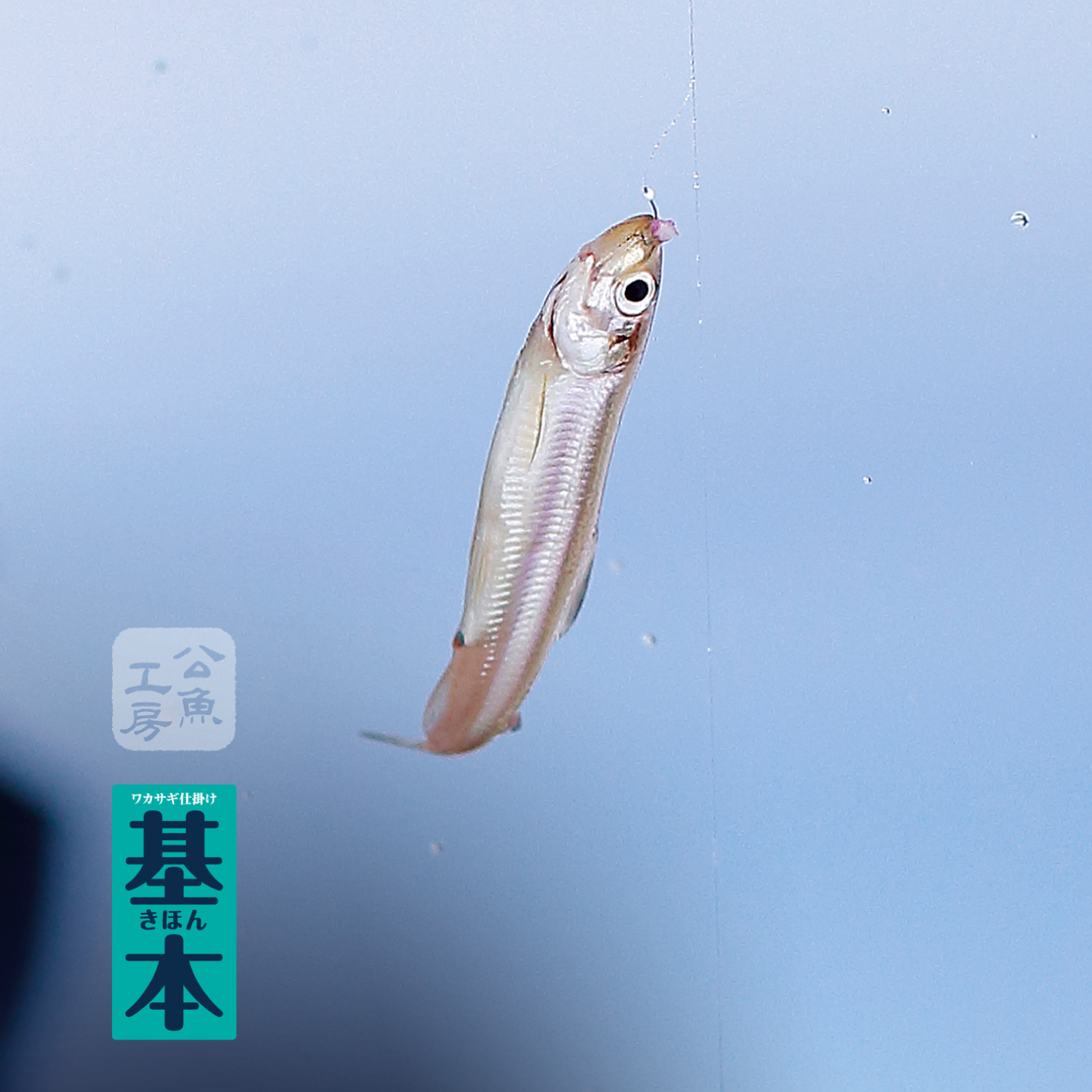 ワカサギ仕掛け 基本