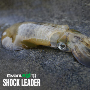 アバニ エギング ショックリーダー［フロロカーボン］