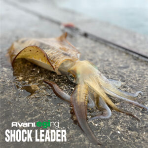 アバニ エギング ショックリーダー［フロロカーボン］