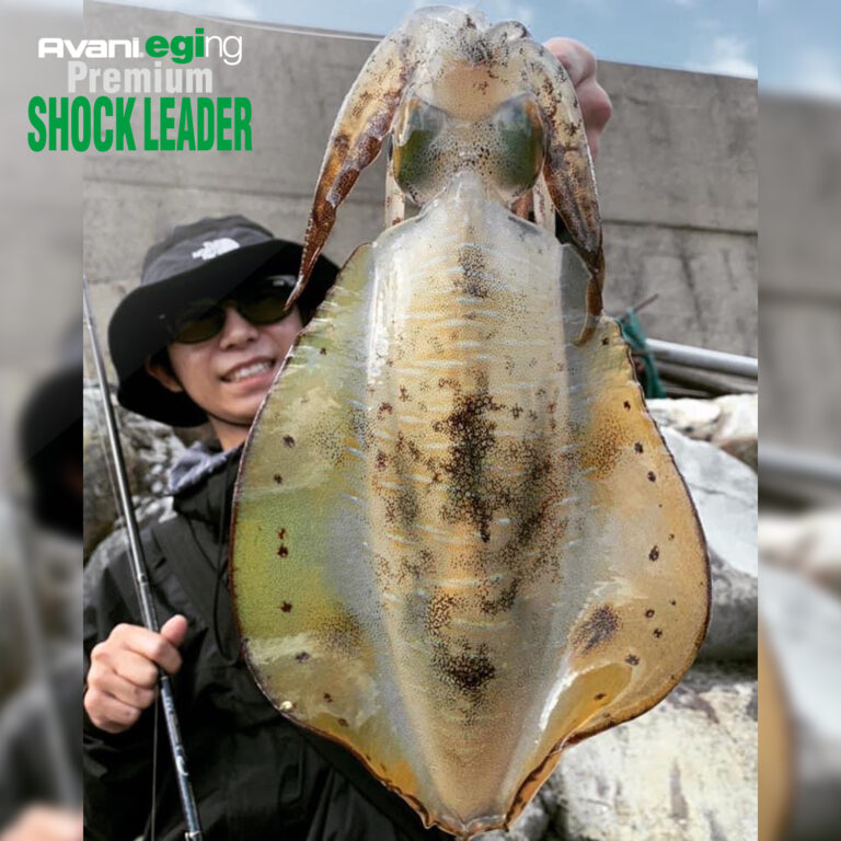 Avani Eging Premium Shock Leader [VSP Fluorocarbon]