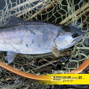 テーパードリーダー スーパーヤマメ フラットバット（IWI Select） ST［ナイロン］