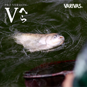 プロバージョン-Vへら道糸【山吹】［ナイロン］