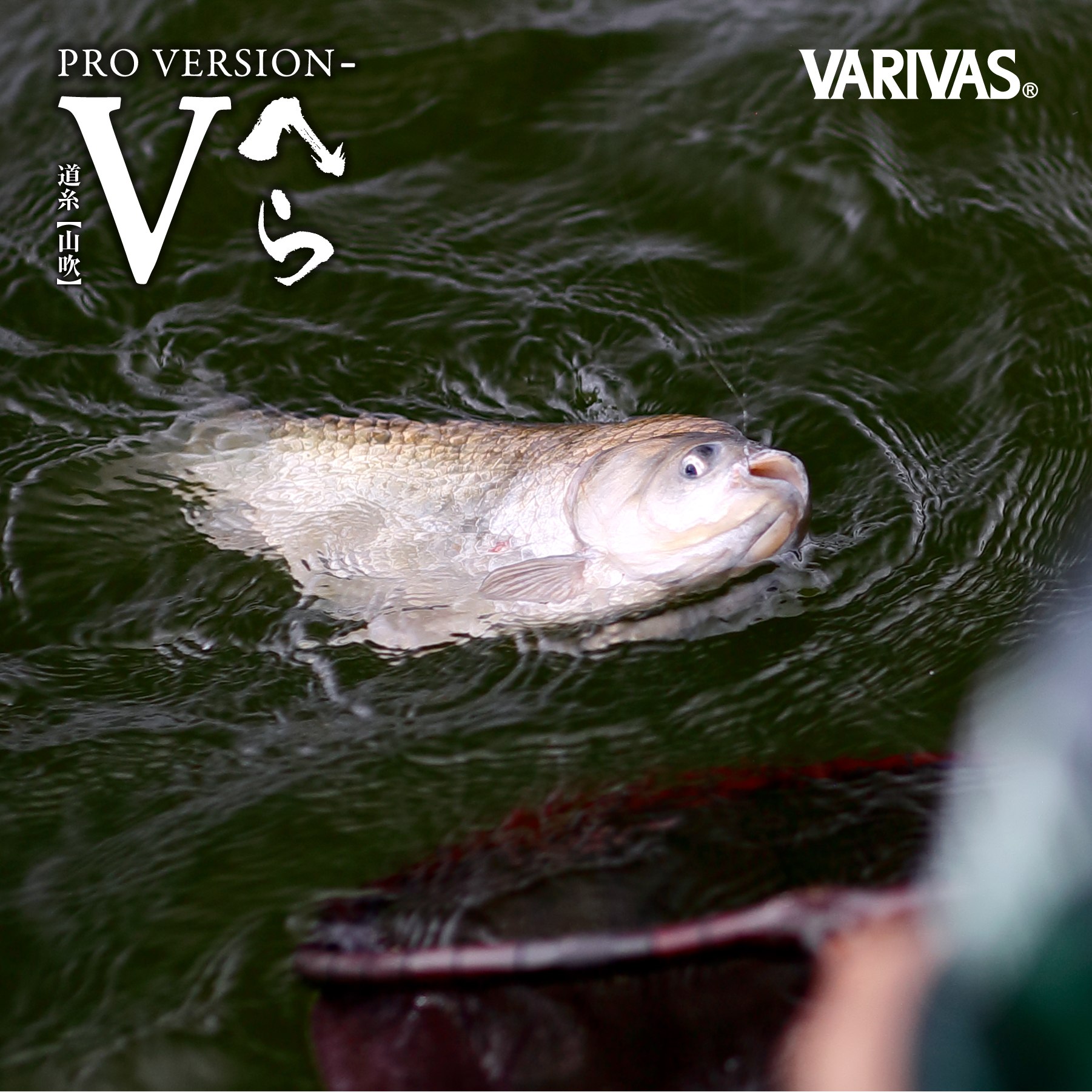 プロバージョン-Vへら道糸【山吹】［ナイロン］