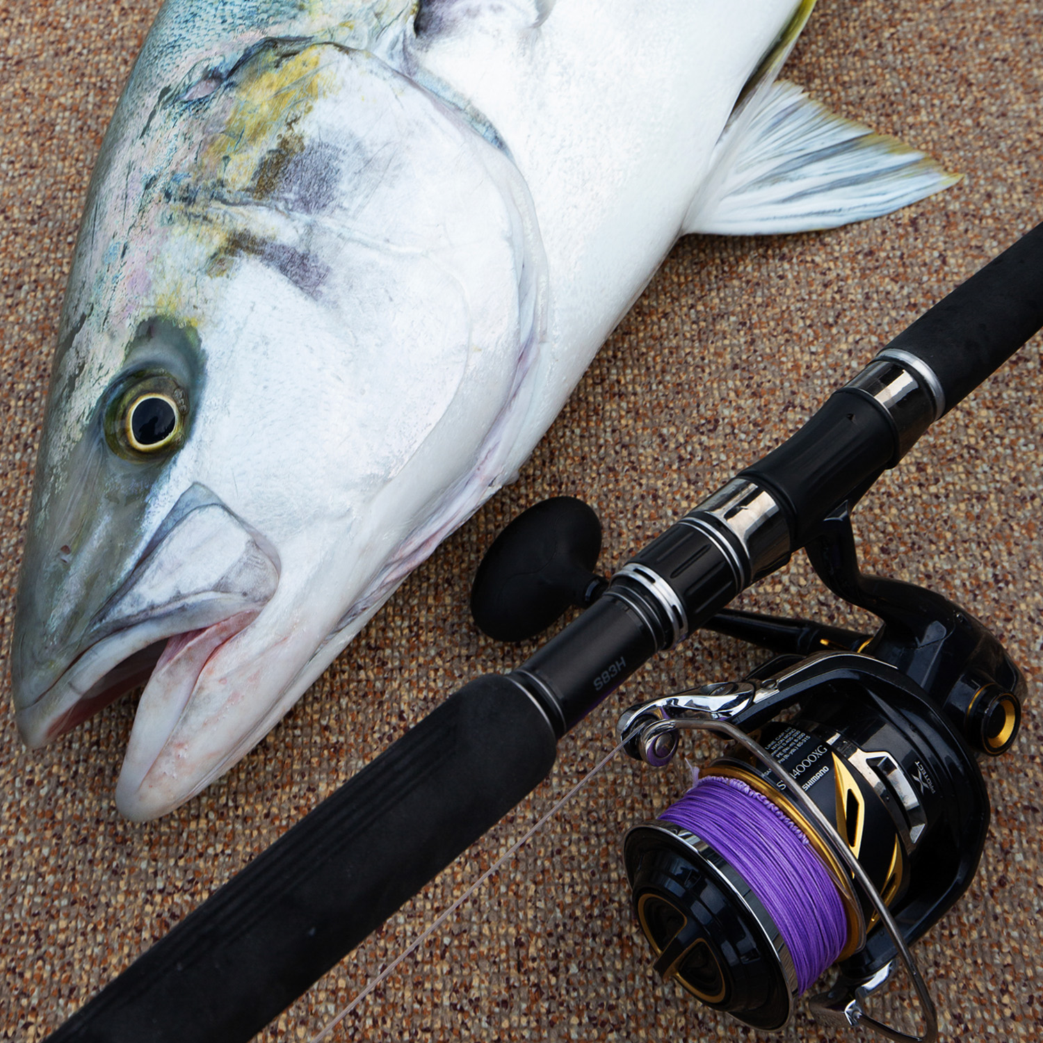 アバニ キャスティングPE SMP ヒラマサチューン X8