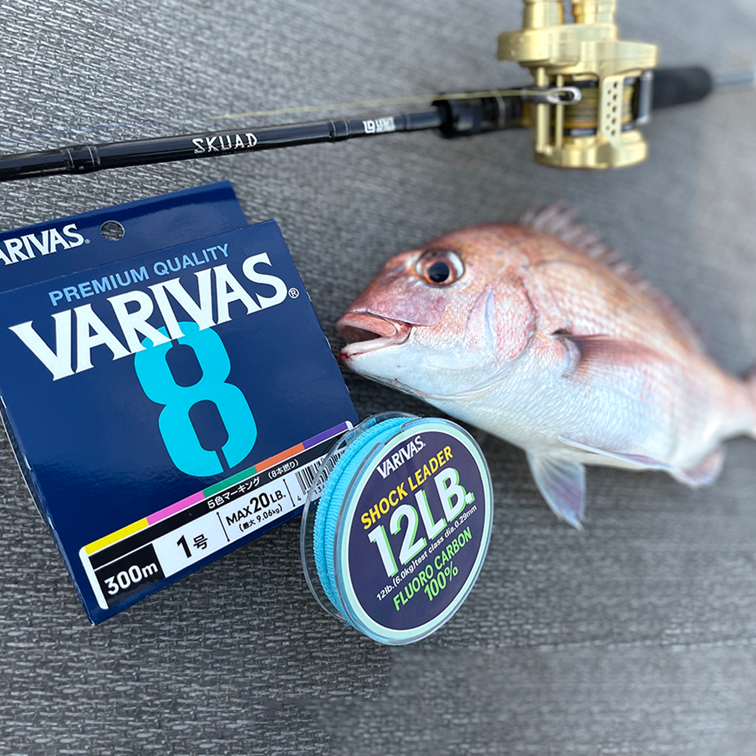 VARIVAS 8 オーシャンブルー