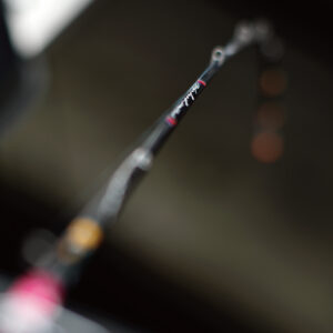 グラファイトワークス ワカサギ穂先Ice-MAX309(アイスマックス309)