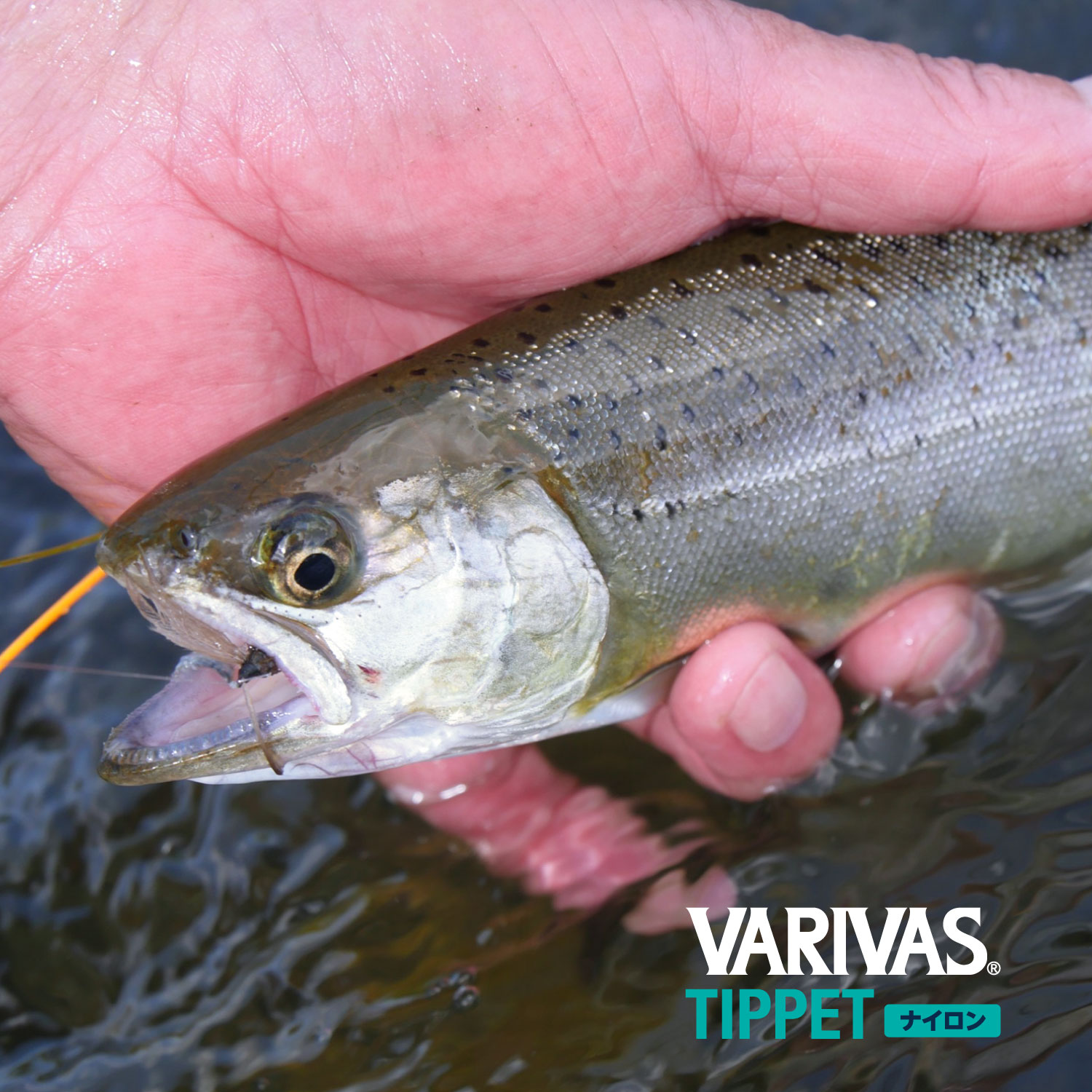 VARIVAS Tippet [Nylon]