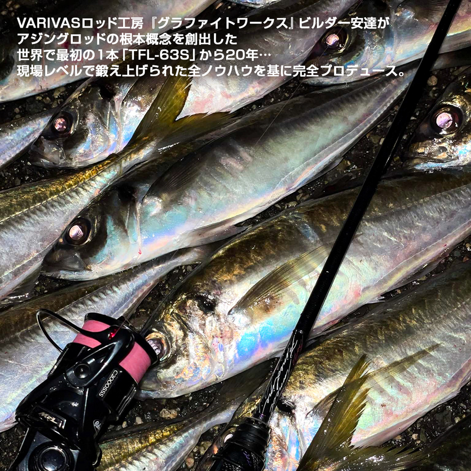 Pro4EXチューンドファインライン［TFLエステル］