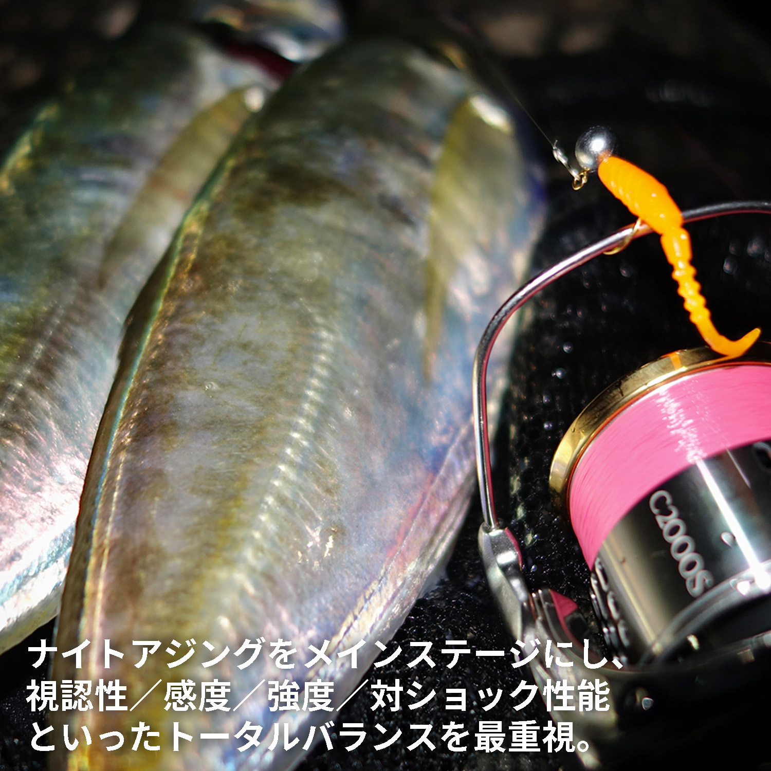 Pro4EXチューンドファインライン［TFLエステル］