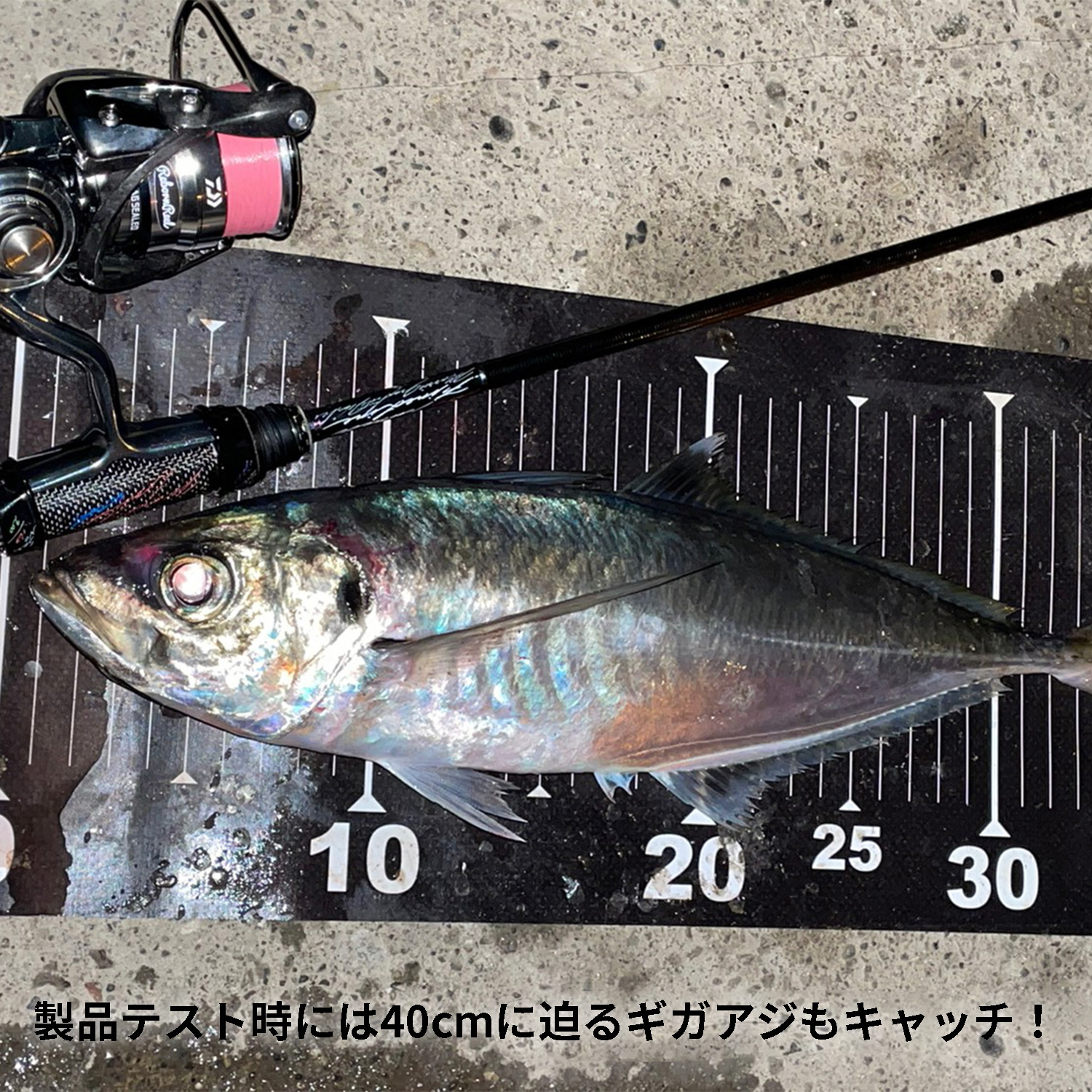 Pro4EXチューンドファインライン［TFLエステル］