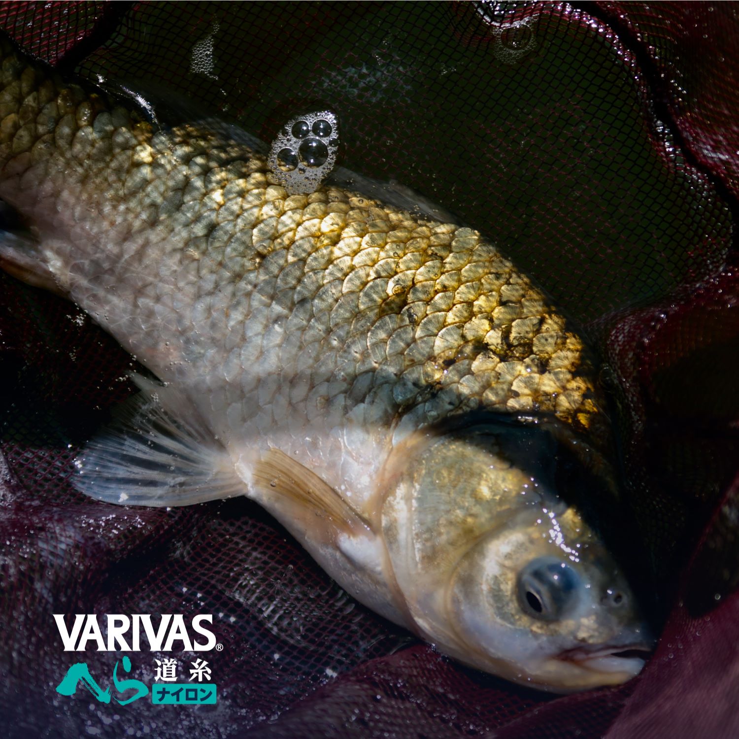 VARIVASへら 道糸［ナイロン］