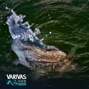 VARIVASへら ハリス［ナイロン］