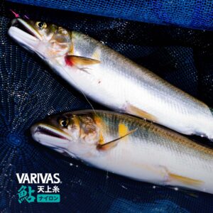 VARIVAS鮎 天上糸［ナイロン］