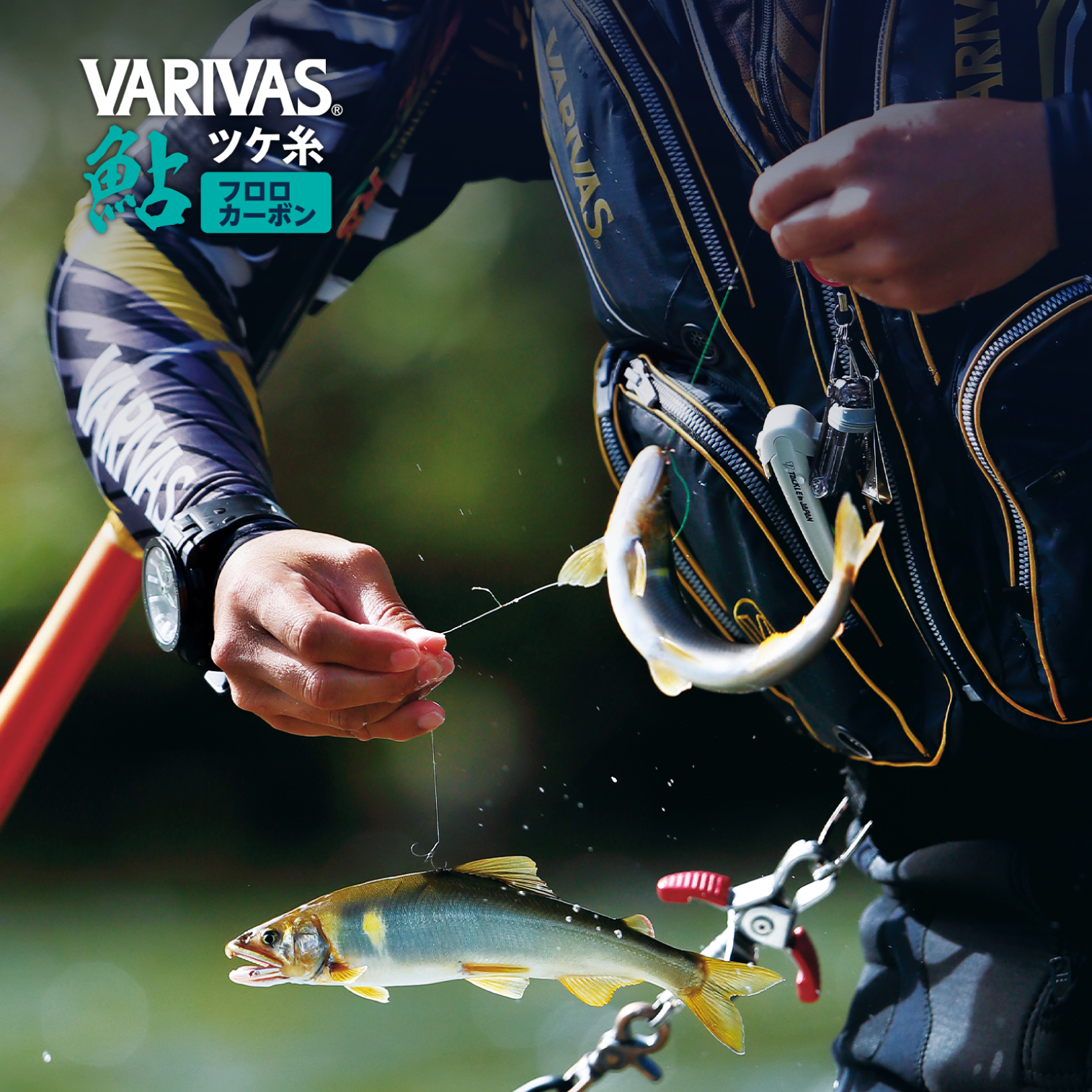 VARIVAS鮎 ツケ糸　［フロロカーボン］