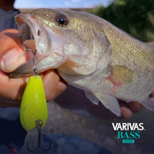 VARIVASバス ナイロン