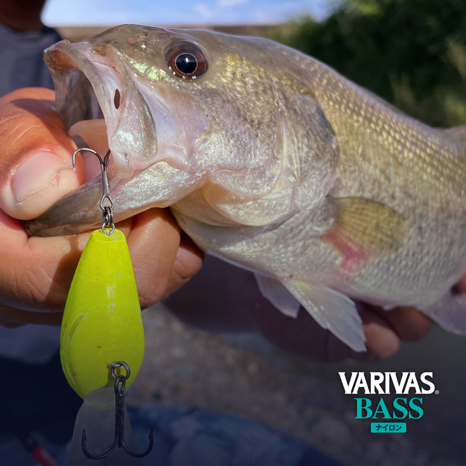 VARIVASバス ナイロン