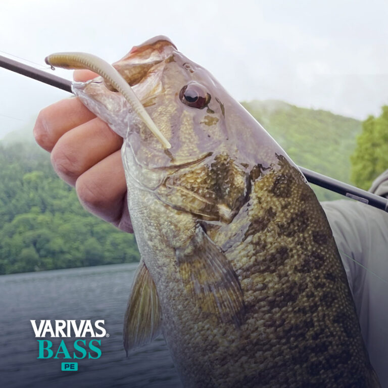 VARIVAS BASS PE X4