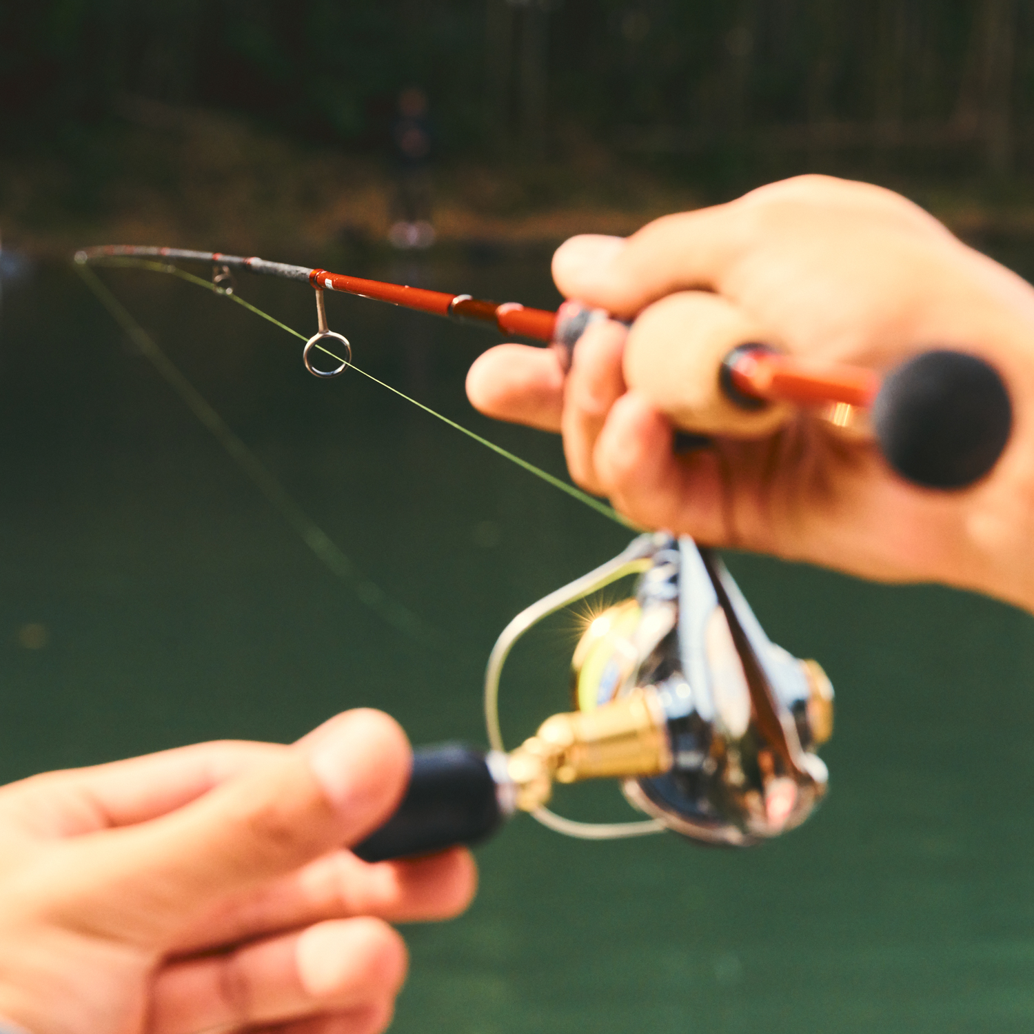 エリアドライブ TS（トーナメントスペック）