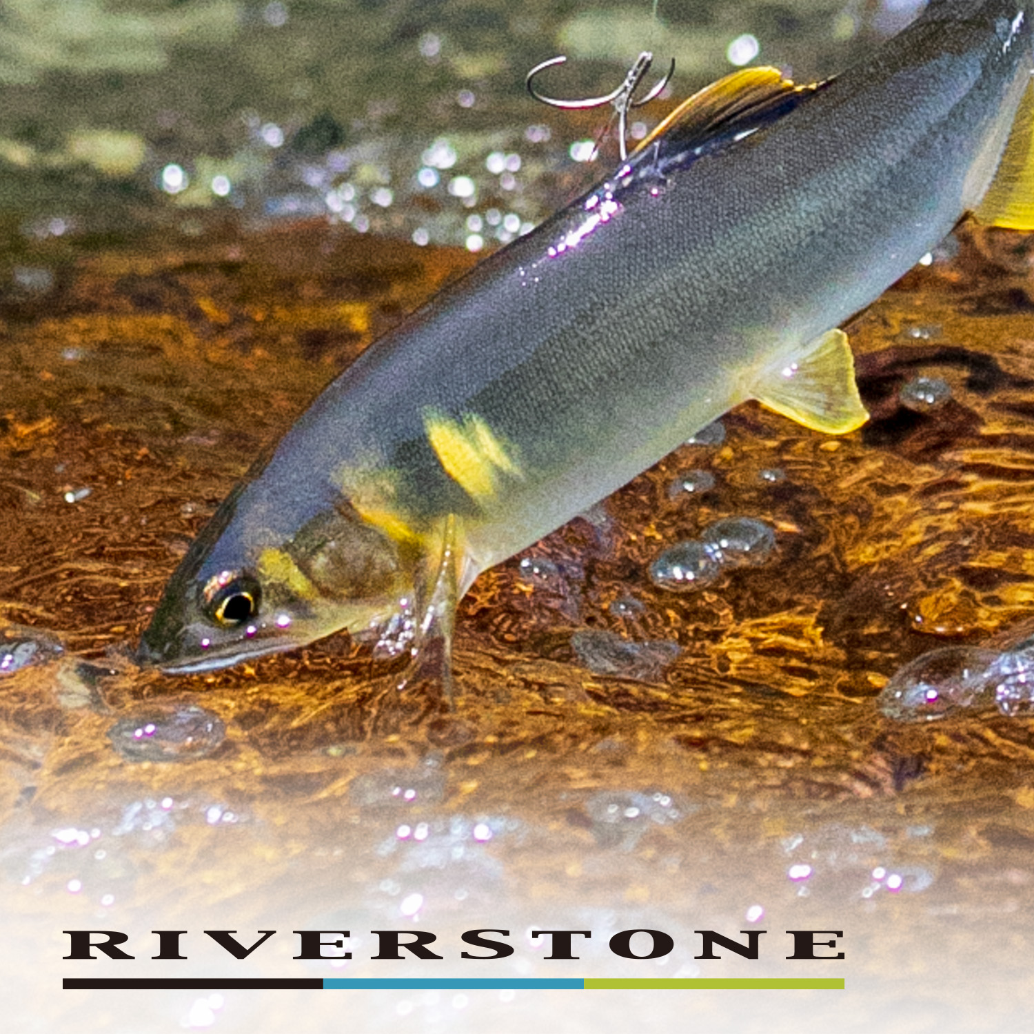 トライキット鮎 リバーストーン63 仕掛けセット