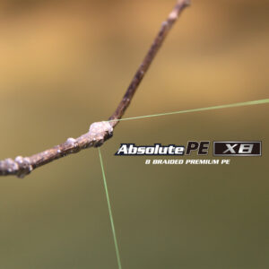 アブソルートPE X8