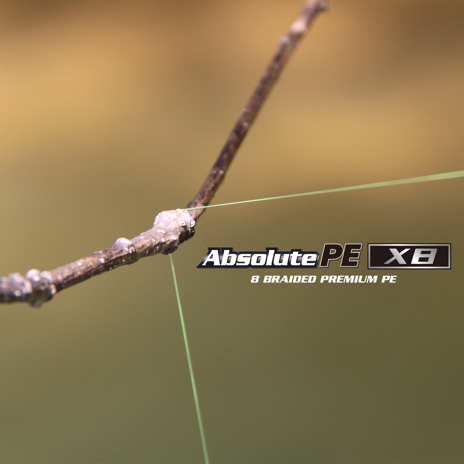 アブソルートPE X8