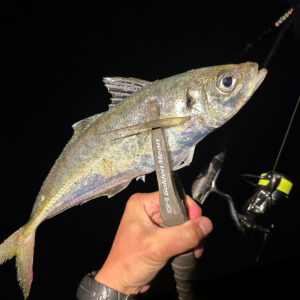 Ajing Master [Ester] “LEMONi”