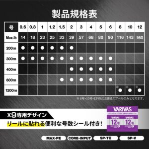 アバニ ジギング10×10 マックスパワーPE X9