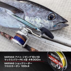 アバニ ジギング10×10 マックスパワーPE X9