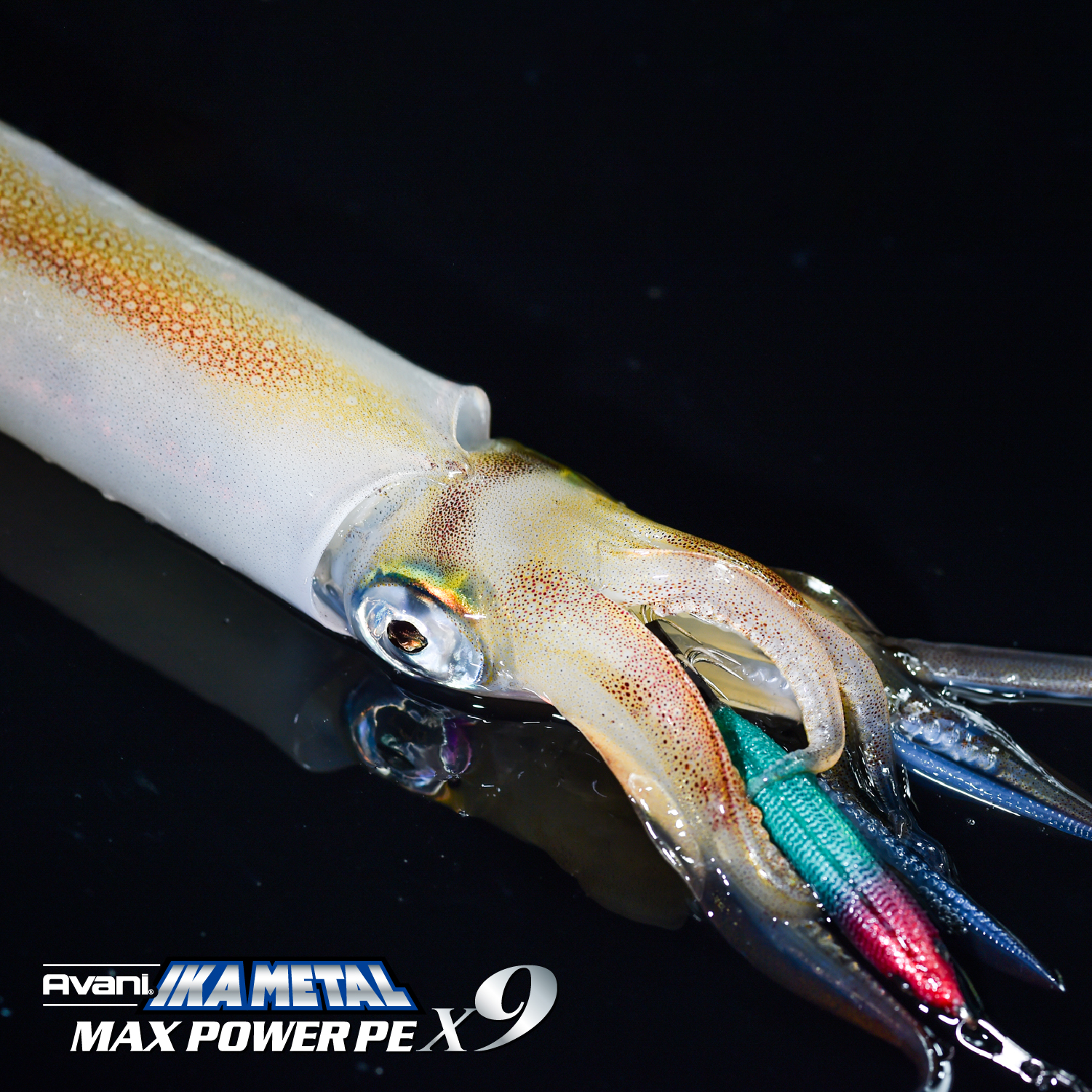 アバニ イカメタルマックスパワーPE X9［ダークグリーン］