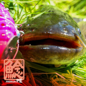 ナマズ プレミアムPE X8