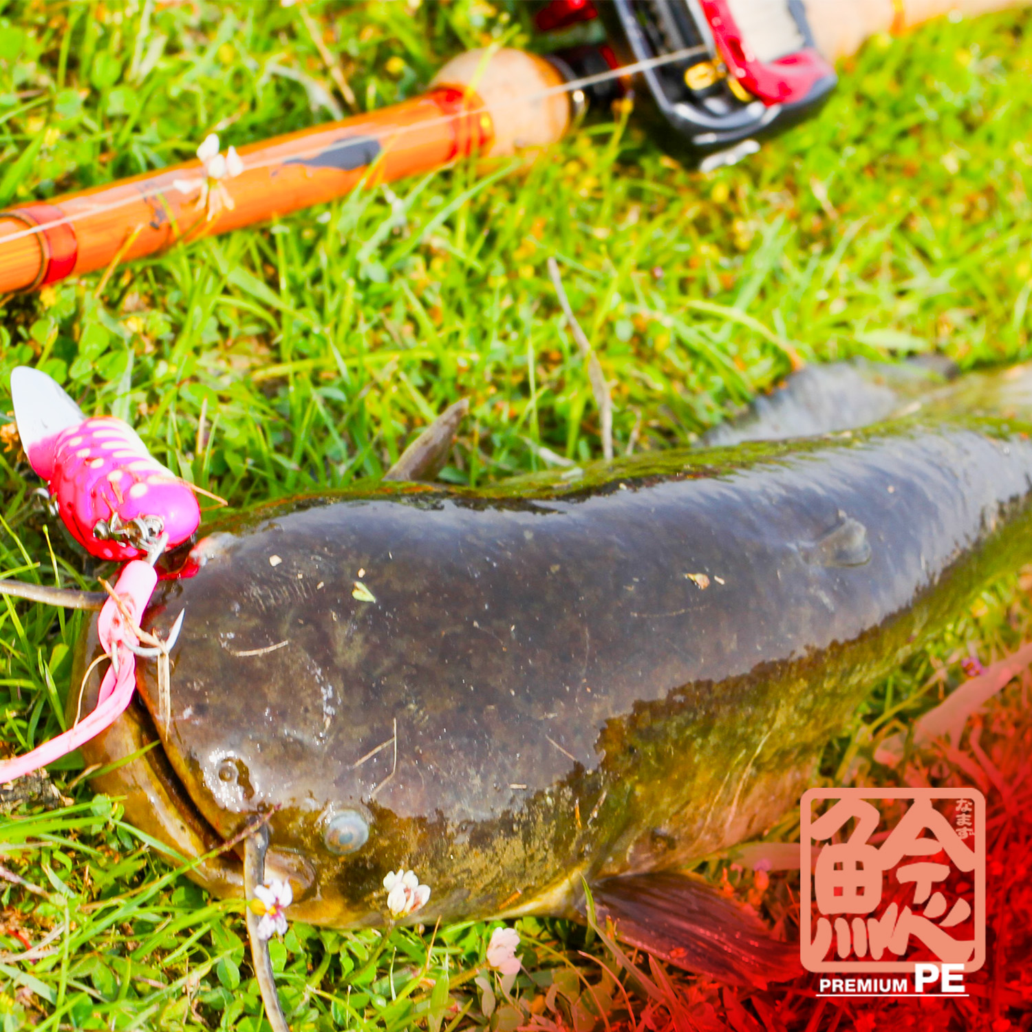 ナマズ プレミアムPE X8