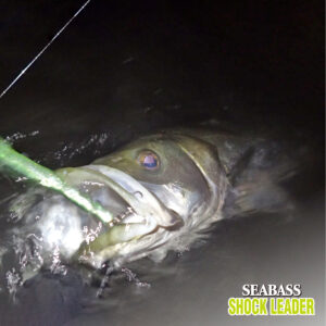 シーバス ショックリーダー［フロロカーボン］
