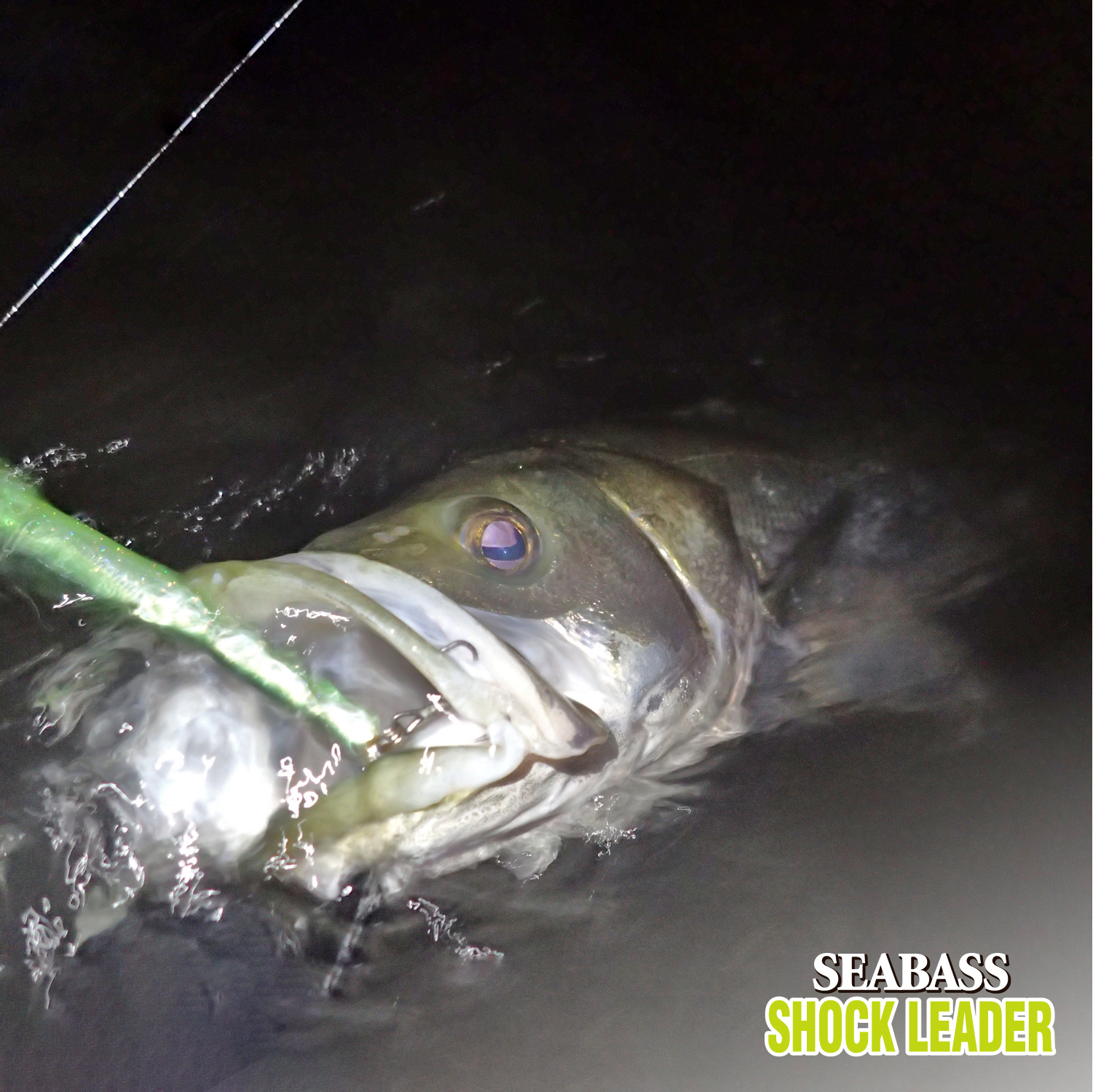 シーバス ショックリーダー［フロロカーボン］