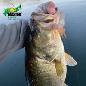 ワッキーマスター ライト