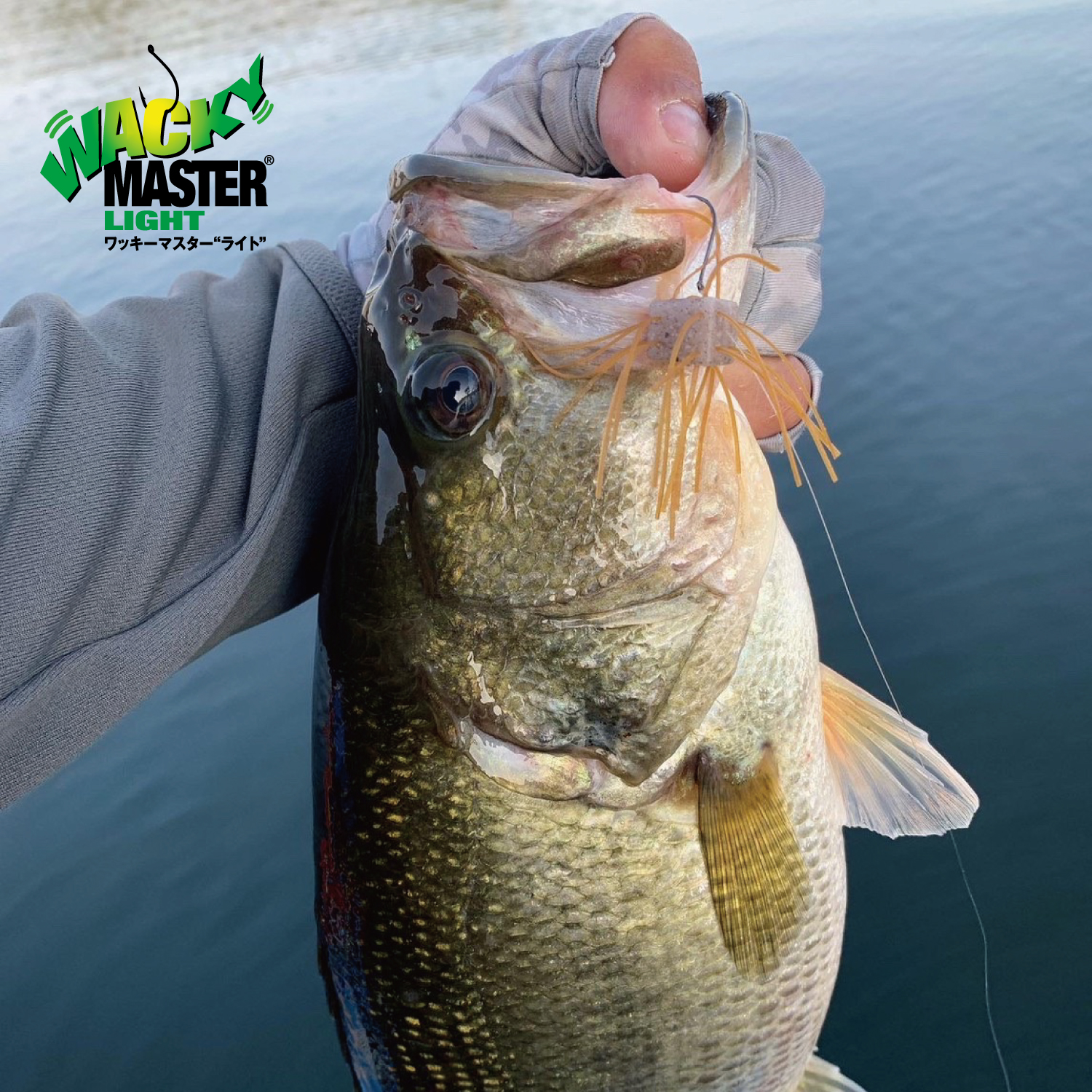 ワッキーマスター ライト