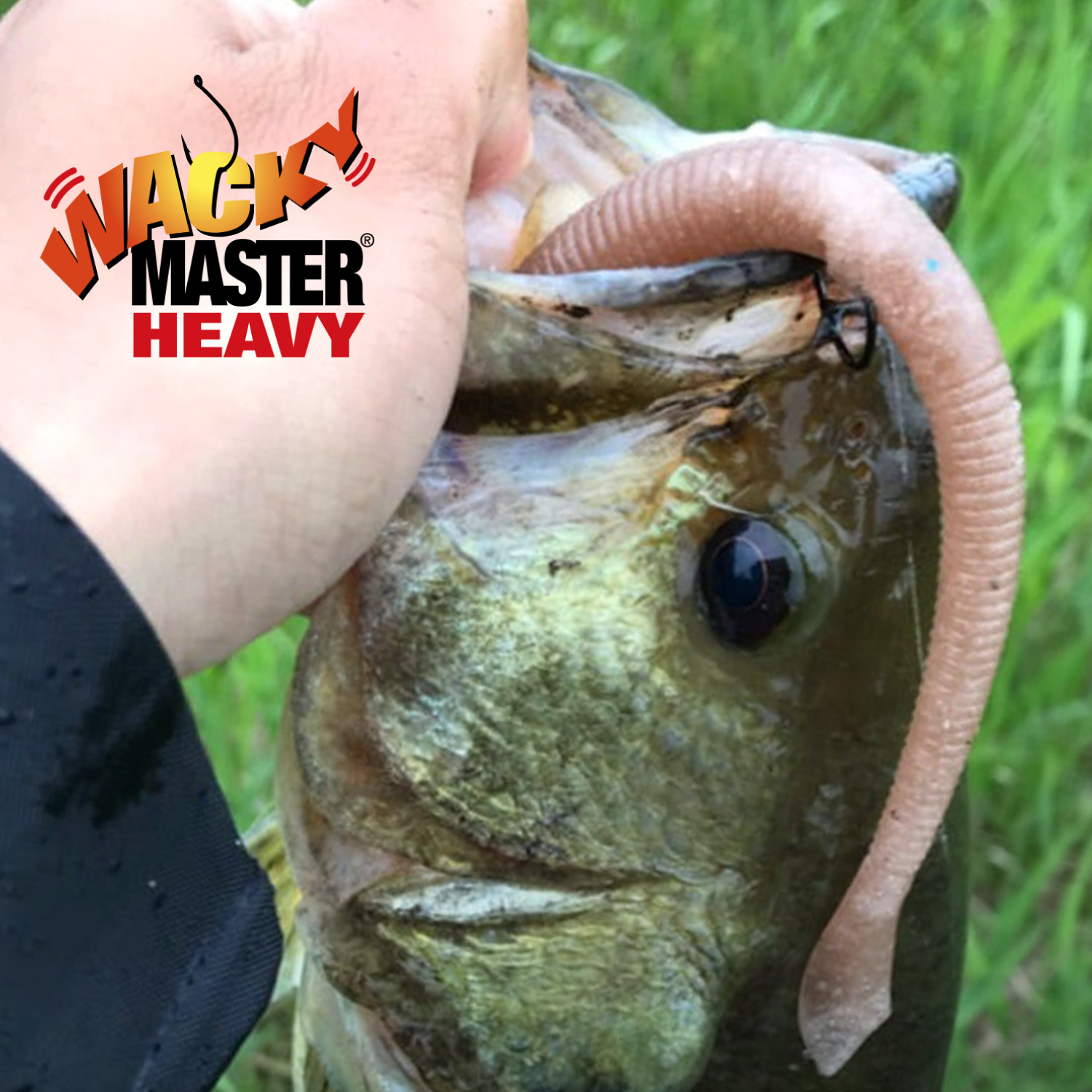 Wacky Master Heavy
