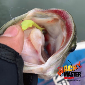 ワッキーマスター ヘビー