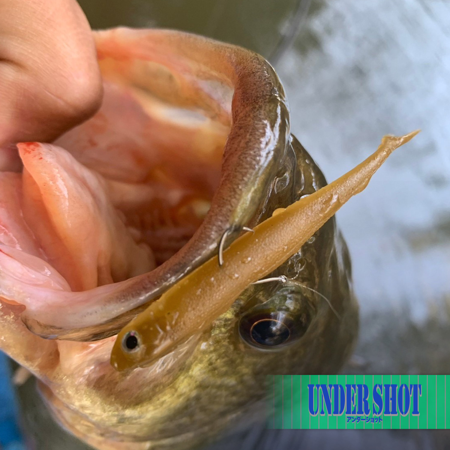 アンダーショット