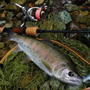 スーパートラウト アドバンスダブルクロスPE X8 ハイビスオレンジの釣果記録
