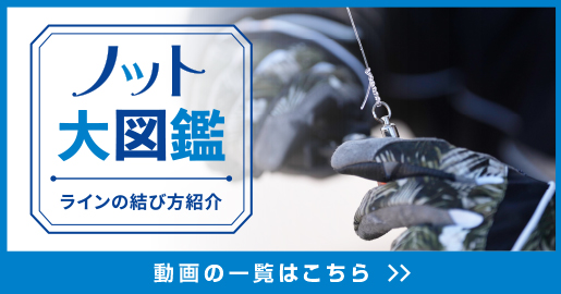 トラウト ショックリーダー ［フロロカーボン］の参考記事