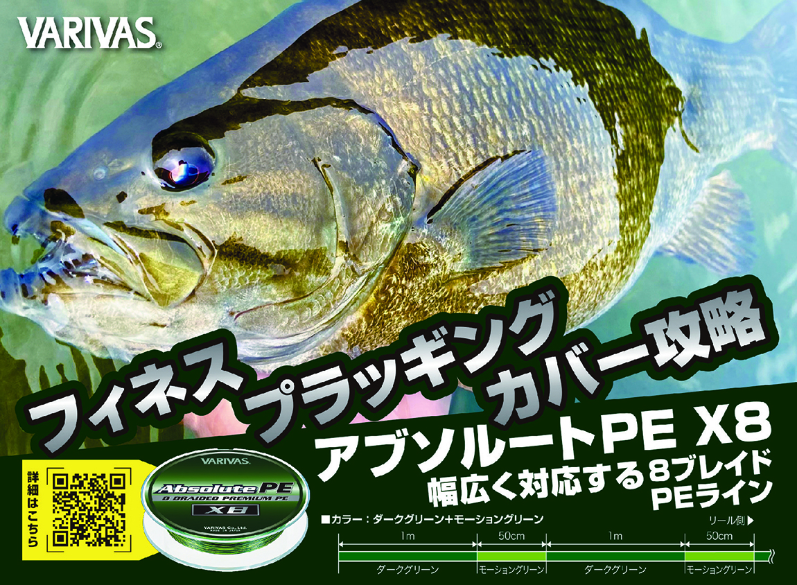 アブソルートPE X8