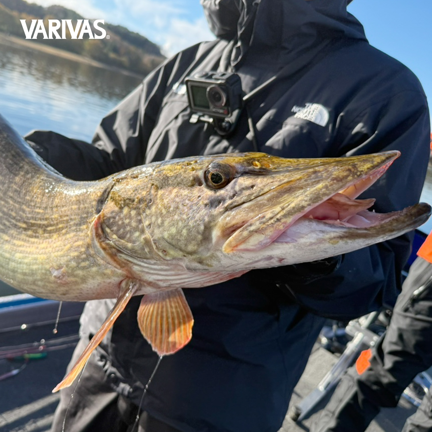 【Export-Only Product】SWIMBAIT PE