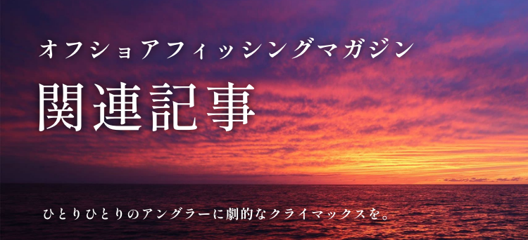 ショアレコード ショックリーダー［フロロカーボン］の参考記事