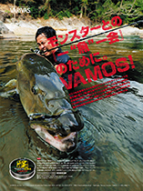 VARIVAS 怪魚PE Si-X バモス