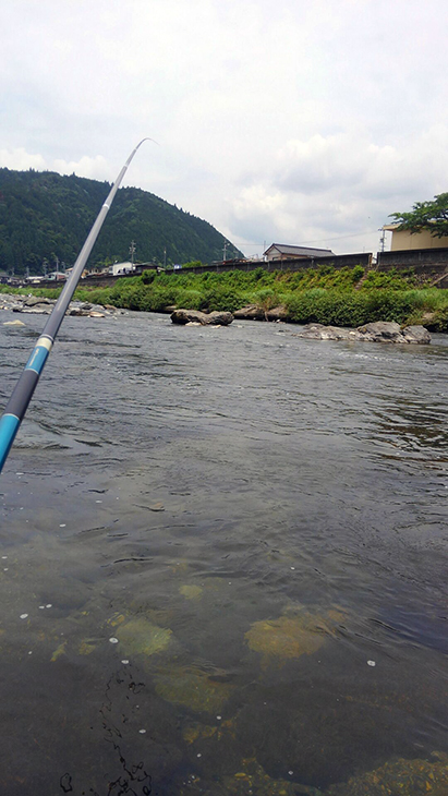 長良川上流の郡上鮎を泳がせで釣る！ – 株式会社バリバス