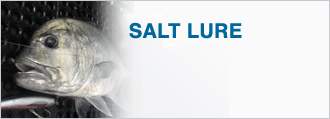 SALT LURE