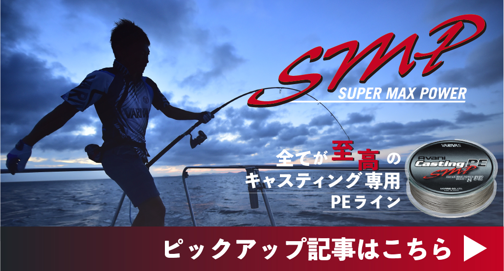 アバニ キャスティングPE SMP［スーパーマックスパワー］ - 製品情報 
