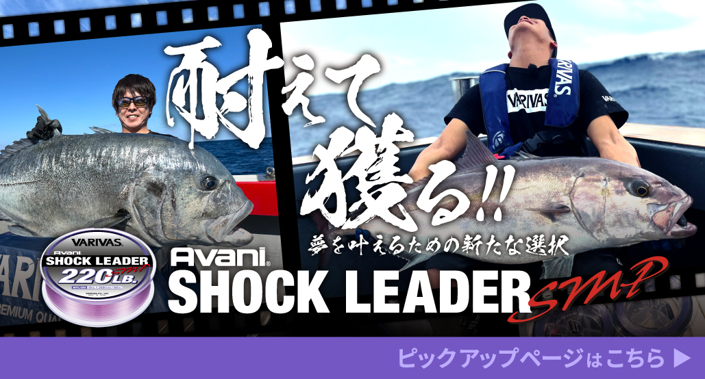 ピックアップページへ